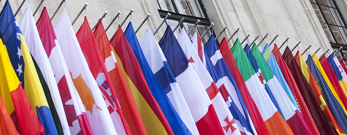 United Nations Flags