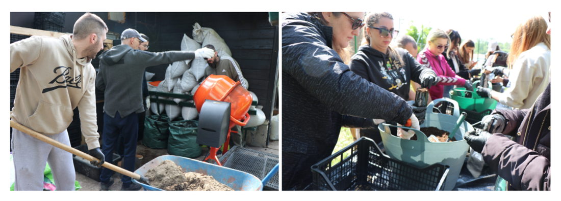 Ball employees work together to plant trees in Serbia.